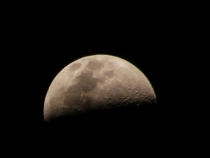 20111123205602-caida-del-pelo-quimio-claro-de-luna.jpg